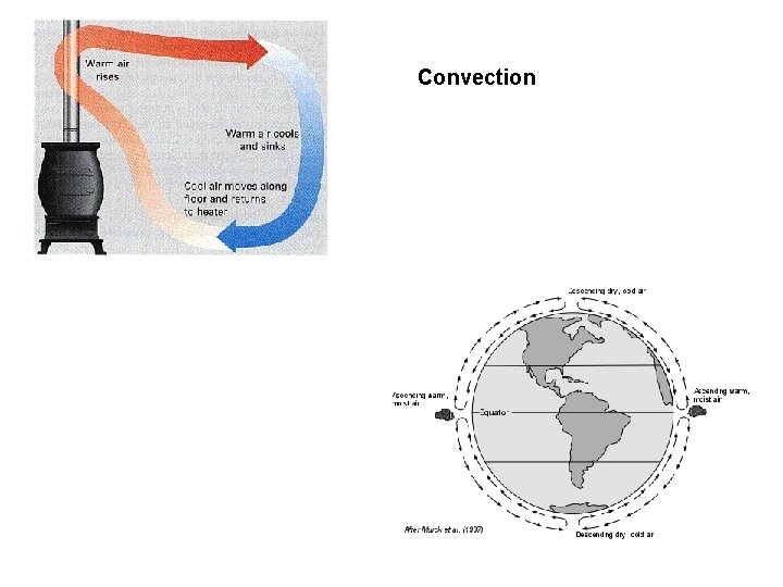 Convection 