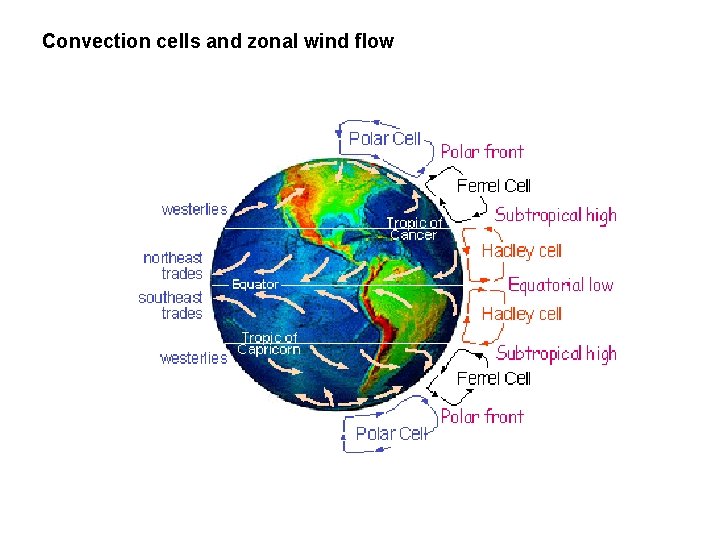 Convection cells and zonal wind flow 