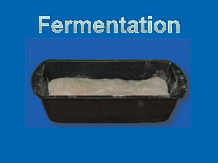 Fermentation 