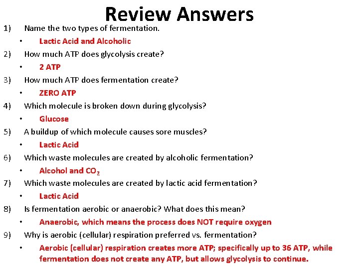 Review Answers Name the two types of fermentation. 1) Lactic Acid and Alcoholic How