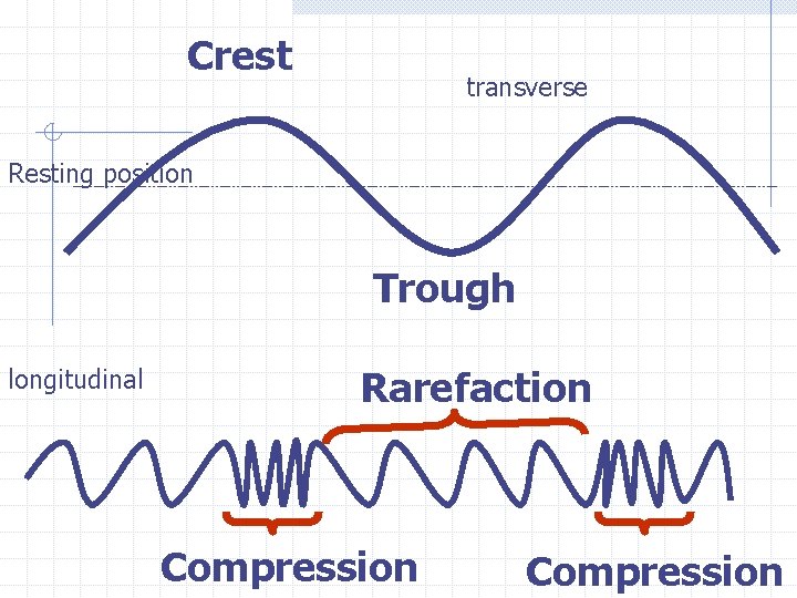 Crest transverse Resting position Trough longitudinal Rarefaction Compression 