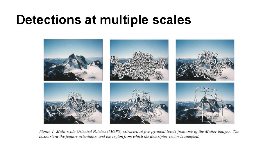 Detections at multiple scales 