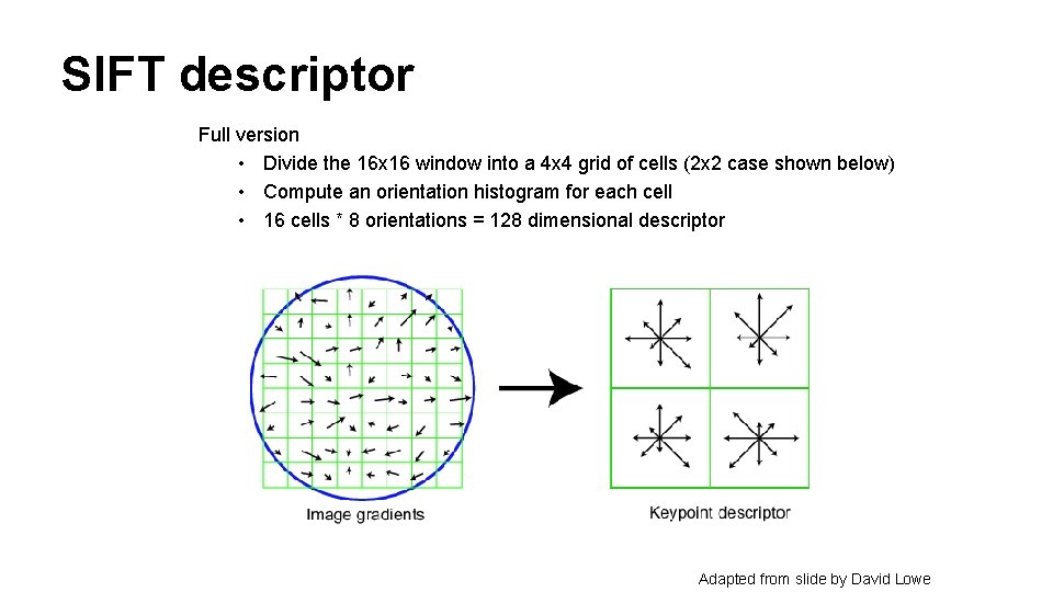 SIFT descriptor Full version • Divide the 16 x 16 window into a 4