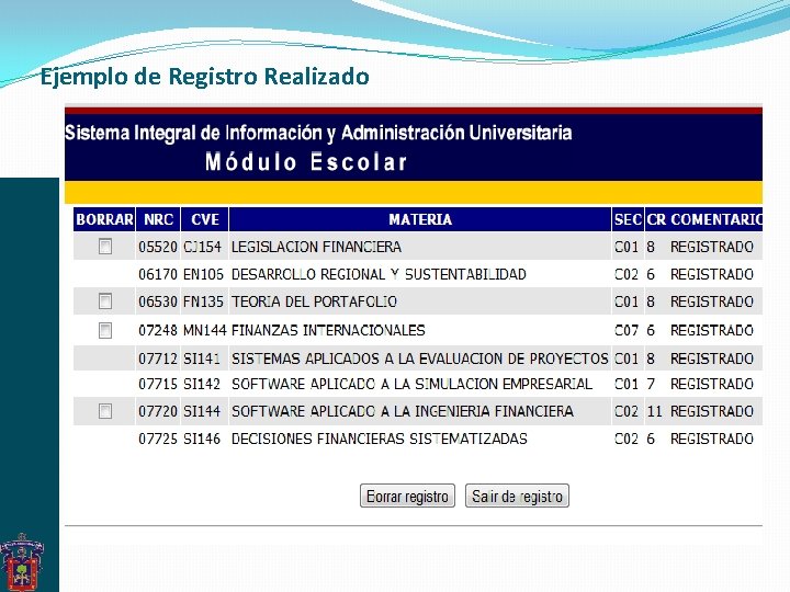 Ejemplo de Registro Realizado Ejemplo de Registro Realizado
