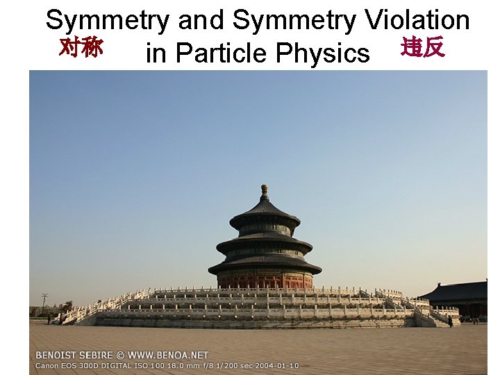 Symmetry and Symmetry Violation 对称 in Particle Physics 违反 