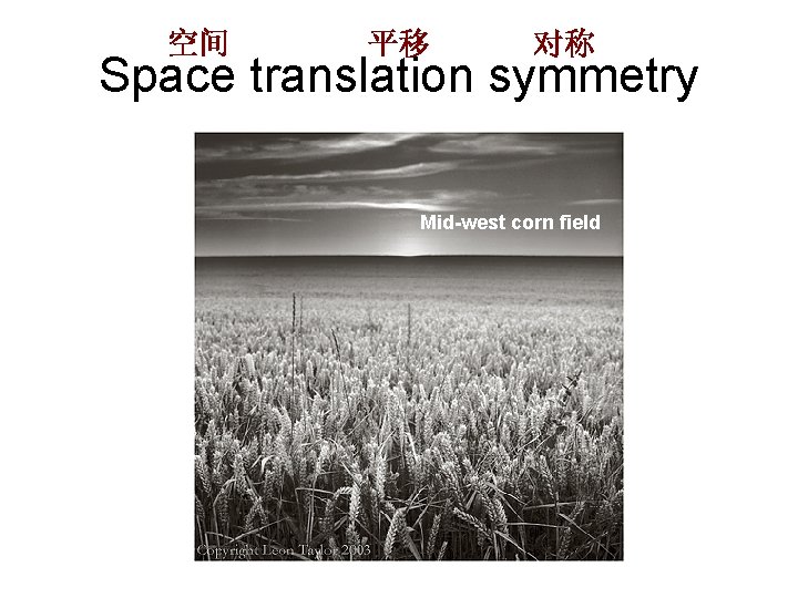 空间 平移 对称 Space translation symmetry Mid-west corn field 