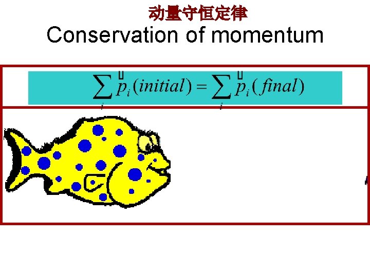 动量守恒定律 Conservation of momentum 