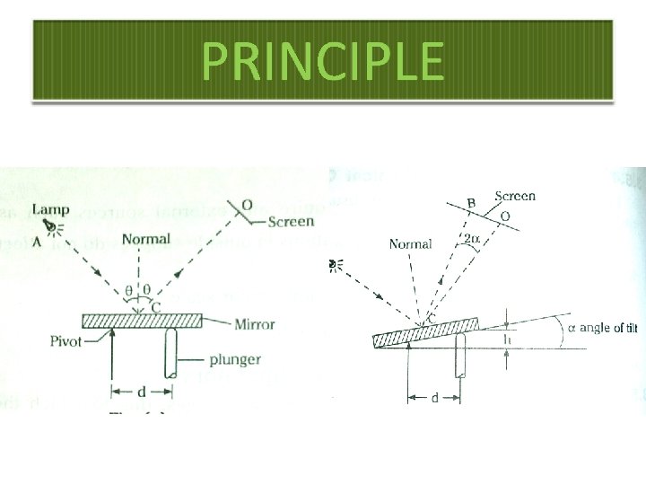 PRINCIPLE 