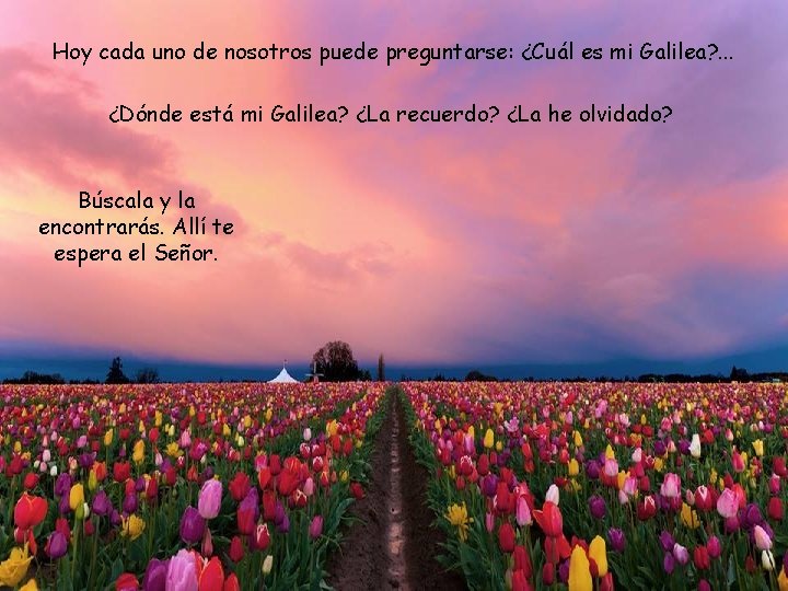 Hoy cada uno de nosotros puede preguntarse: ¿Cuál es mi Galilea? . . .