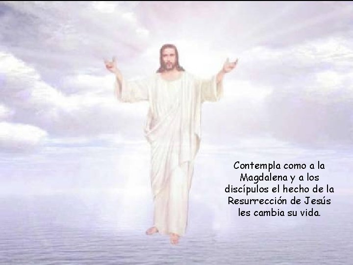 Contempla como a la Magdalena y a los discípulos el hecho de la Resurrección