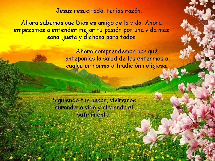 Jesús resucitado, tenías razón. Ahora sabemos que Dios es amigo de la vida. Ahora