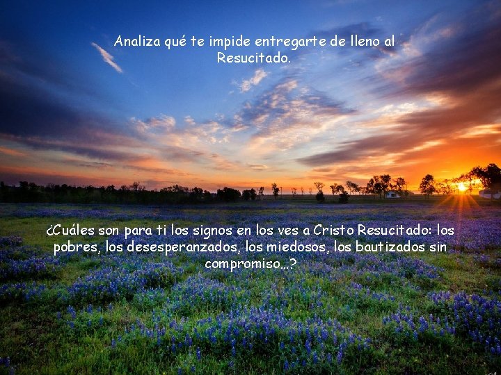 Analiza qué te impide entregarte de lleno al Resucitado. ¿Cuáles son para ti los