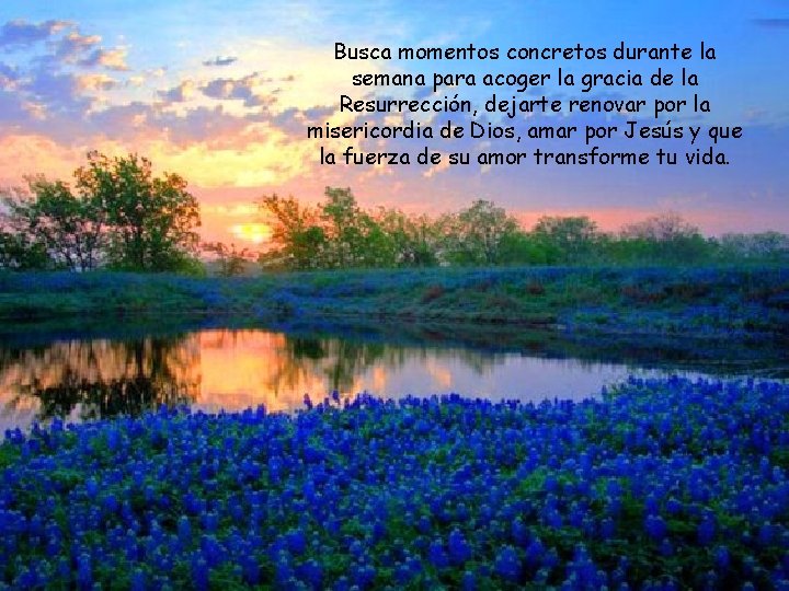 Busca momentos concretos durante la semana para acoger la gracia de la Resurrección, dejarte