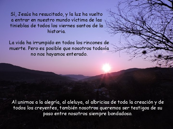 Sí, Jesús ha resucitado, y la luz ha vuelto a entrar en nuestro mundo