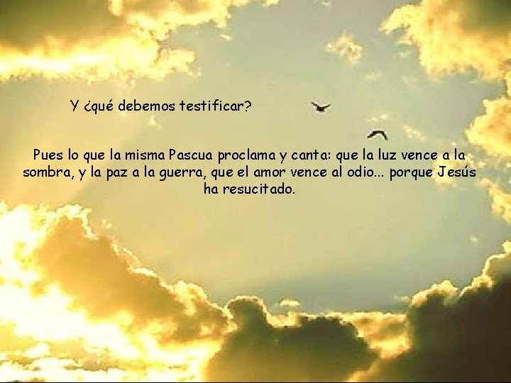 Y ¿qué debemos testificar? Pues lo que la misma Pascua proclama y canta: que