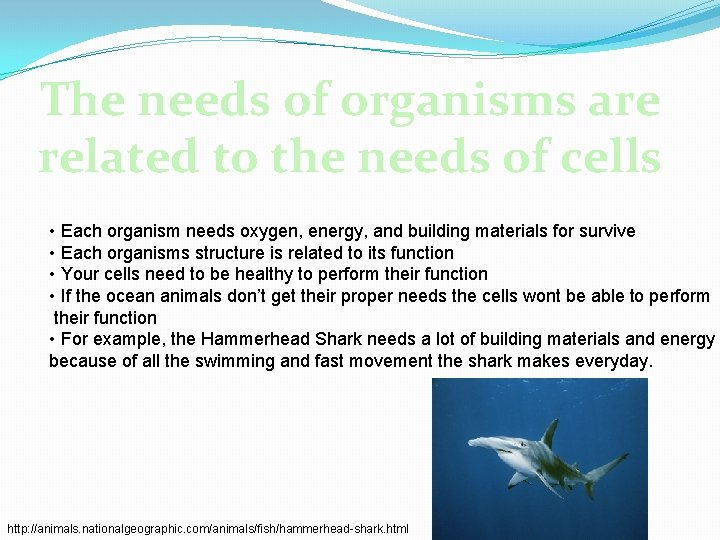 The needs of organisms are related to the needs of cells • Each organism