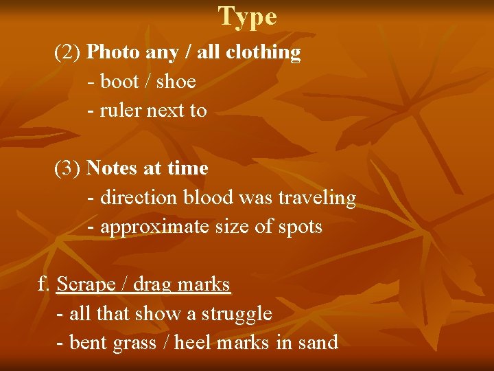 Type (2) Photo any / all clothing - boot / shoe - ruler next