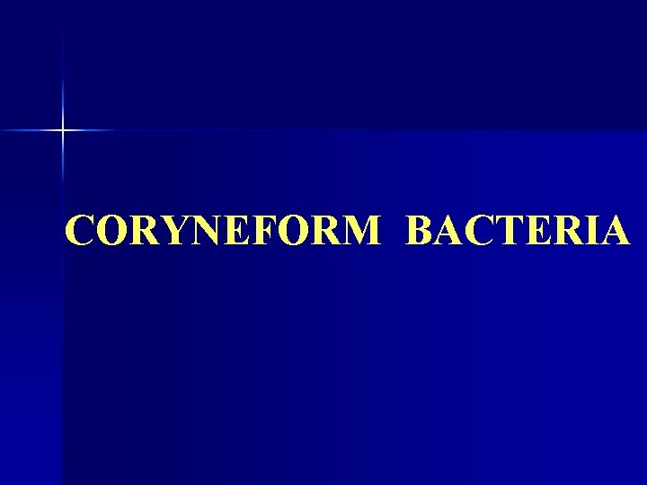 CORYNEFORM BACTERIA 