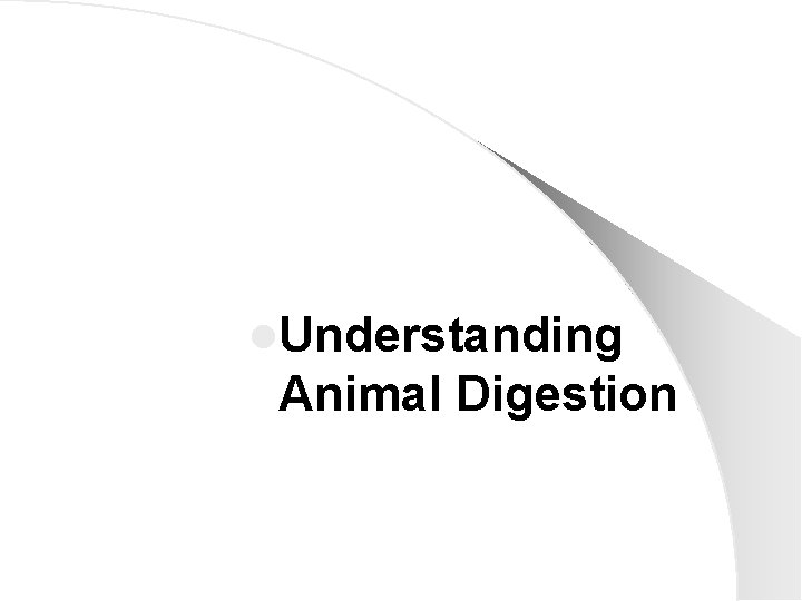 l. Understanding Animal Digestion 