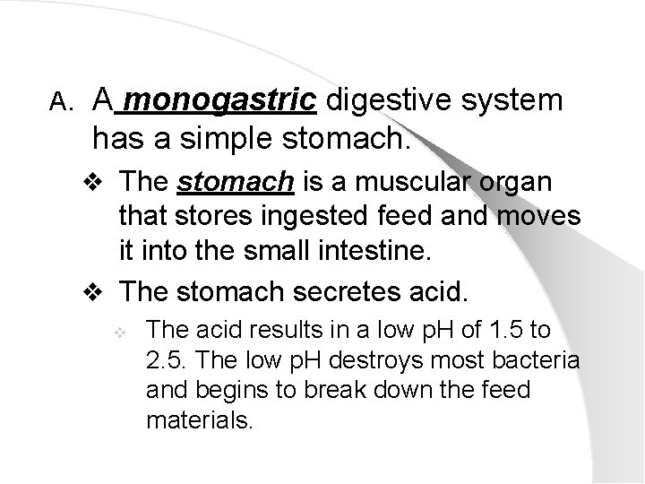 A. A monogastric digestive system has a simple stomach. v The stomach is a