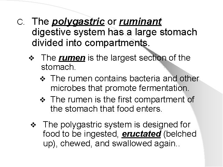 C. The polygastric or ruminant digestive system has a large stomach divided into compartments.