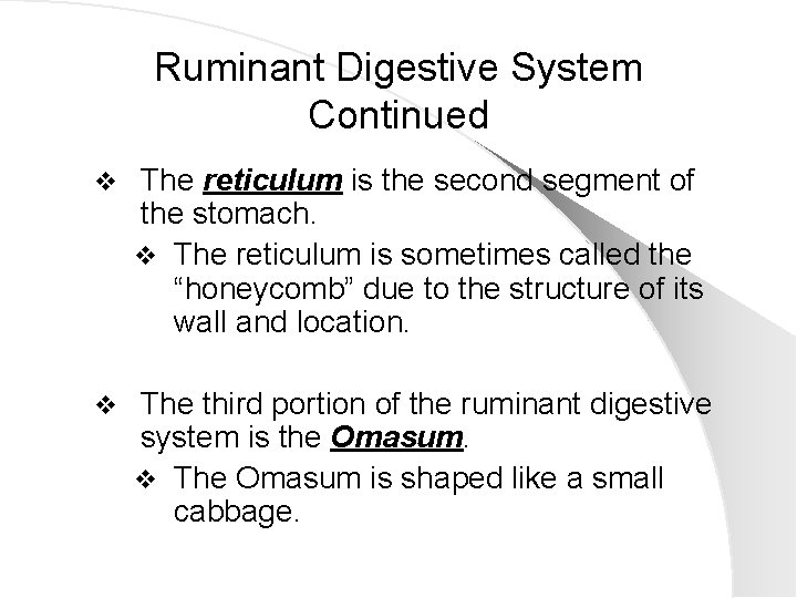 Ruminant Digestive System Continued v The reticulum is the second segment of the stomach.