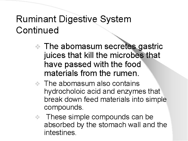 Ruminant Digestive System Continued v The abomasum secretes gastric juices that kill the microbes