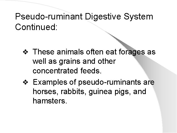 Pseudo-ruminant Digestive System Continued: v These animals often eat forages as well as grains