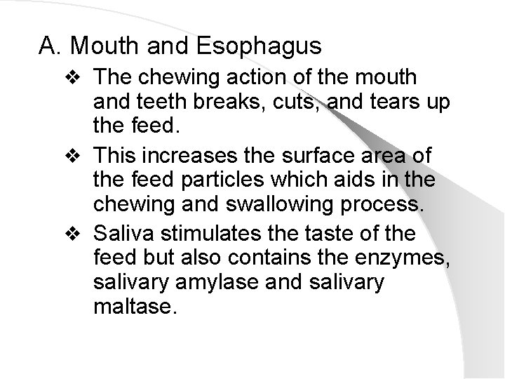 A. Mouth and Esophagus v The chewing action of the mouth and teeth breaks,
