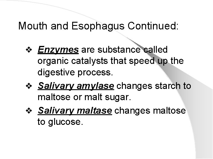 Mouth and Esophagus Continued: v Enzymes are substance called organic catalysts that speed up