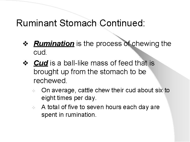 Ruminant Stomach Continued: v Rumination is the process of chewing the cud. v Cud