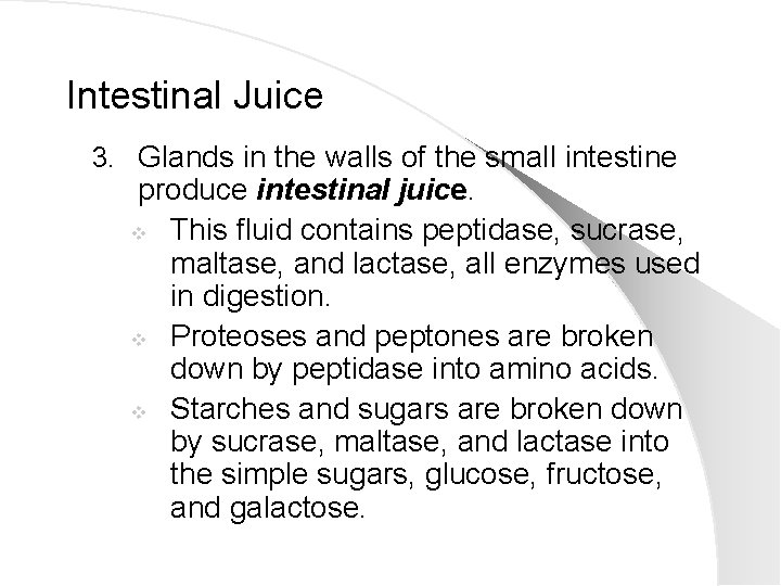 Intestinal Juice 3. Glands in the walls of the small intestine produce intestinal juice.