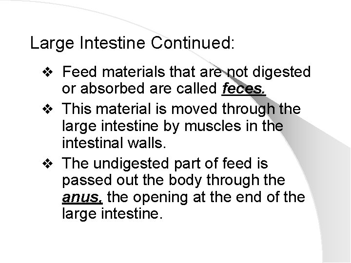 Large Intestine Continued: v Feed materials that are not digested or absorbed are called