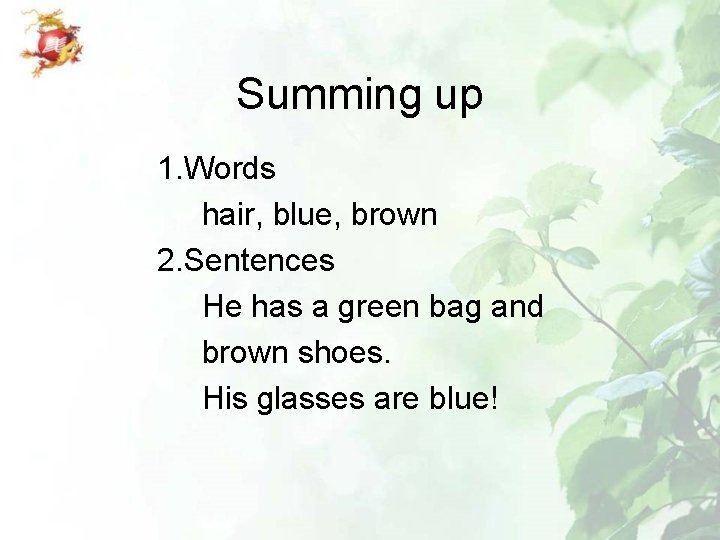 Summing up 1. Words hair, blue, brown 2. Sentences He has a green bag