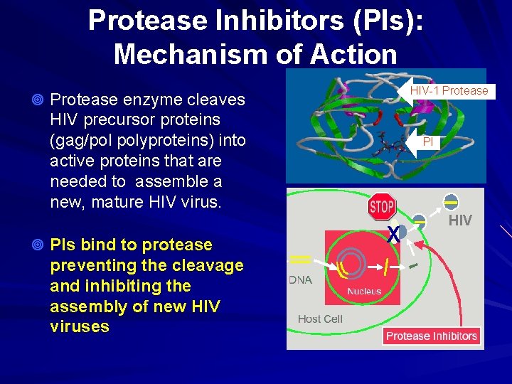 Protease Inhibitors (PIs): Mechanism of Action HIV-1 Protease ¥ Protease enzyme cleaves HIV precursor