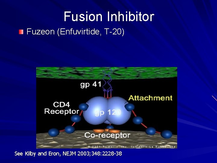 Fusion Inhibitor Fuzeon (Enfuvirtide, T-20) See Kilby and Eron, NEJM 2003; 348: 2228 -38