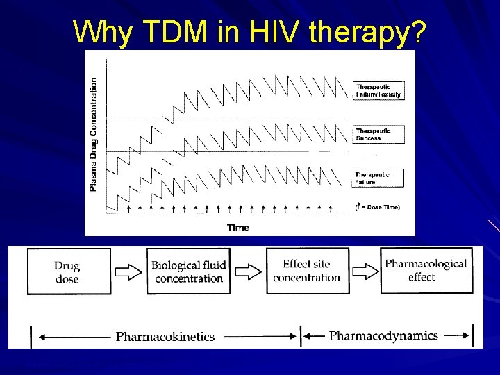 Why TDM in HIV therapy? Adapted from Acosta EP, et al AIDS Res Human