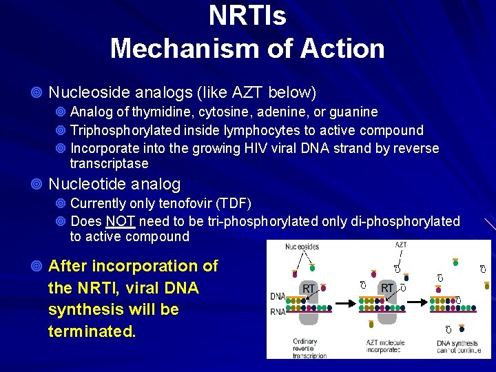 NRTIs Mechanism of Action ¥ Nucleoside analogs (like AZT below) ¥ Analog of thymidine,