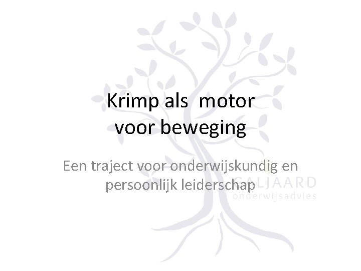 Krimp als motor voor beweging Een traject voor onderwijskundig en persoonlijk leiderschap 