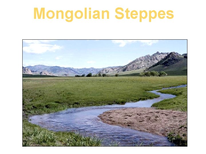 Mongolian Steppes 