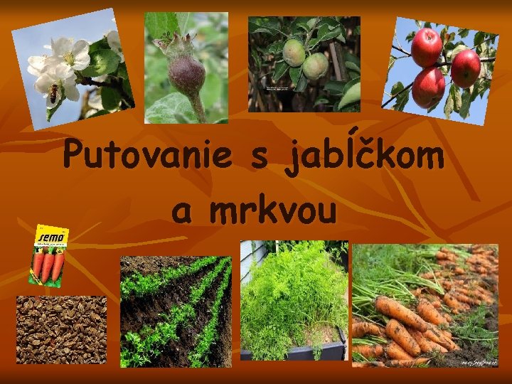 Putovanie s jabĺčkom a mrkvou 