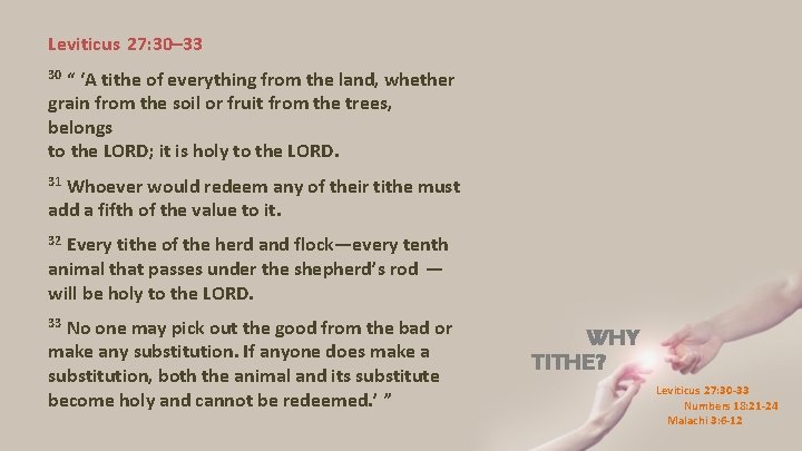 Why Tithe Leviticus 27 30 33 Numbers 18