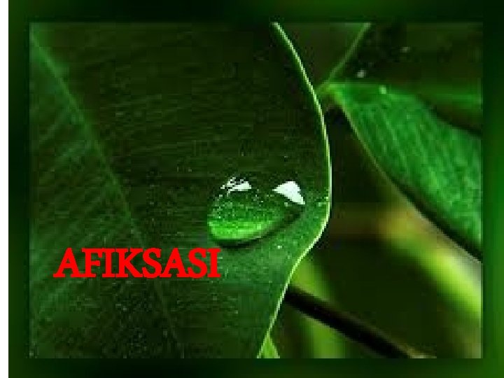 AFIKSASI 