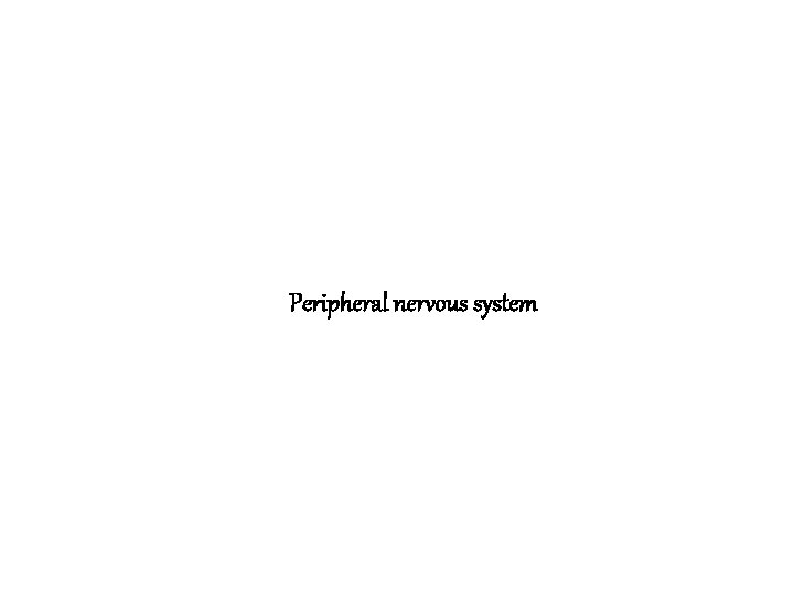 Peripheral nervous system 