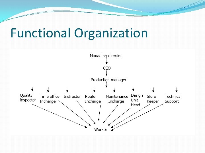 Functional Organization Functional Organization