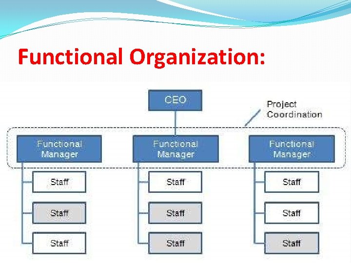 Functional Organization: Functional Organization: