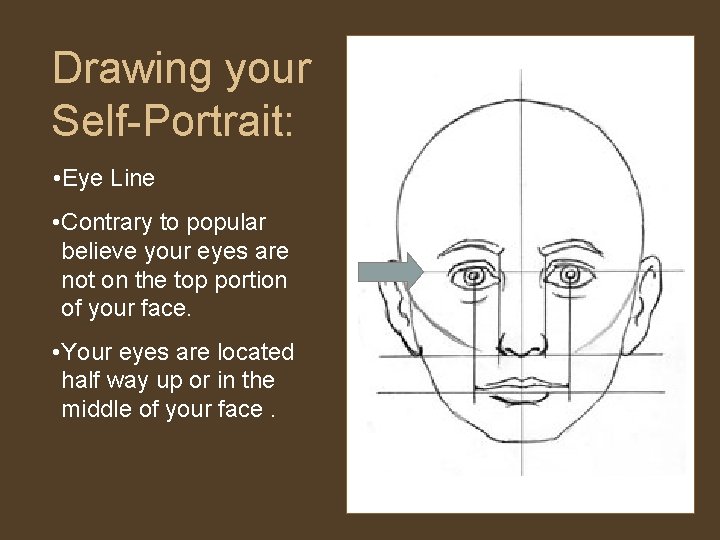 Drawing your Self-Portrait: • Eye Line • Contrary to popular believe your eyes are Drawing your Self-Portrait: • Eye Line • Contrary to popular believe your eyes are