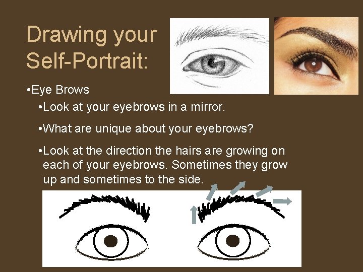 Drawing your Self-Portrait: • Eye Brows • Look at your eyebrows in a mirror. Drawing your Self-Portrait: • Eye Brows • Look at your eyebrows in a mirror.