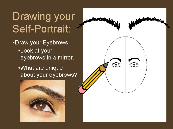 Drawing your Self-Portrait: • Draw your Eyebrows • Look at your eyebrows in a Drawing your Self-Portrait: • Draw your Eyebrows • Look at your eyebrows in a