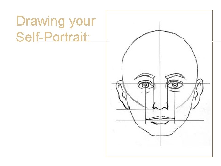 Drawing your Self-Portrait: • Mouth and Proportion • The corners of your lips fall Drawing your Self-Portrait: • Mouth and Proportion • The corners of your lips fall